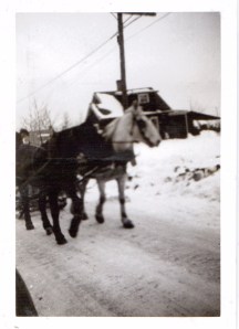 horseandcart